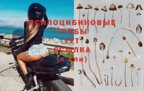 сатива Козловка