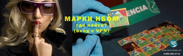 СК Кстово