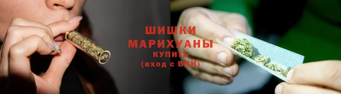 гидра Крымск